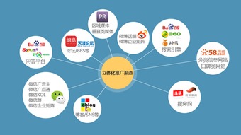 貓頭鷹網(wǎng)站建設(shè)工作者必備步驟與網(wǎng)絡(luò)技術(shù)服務(wù)指南